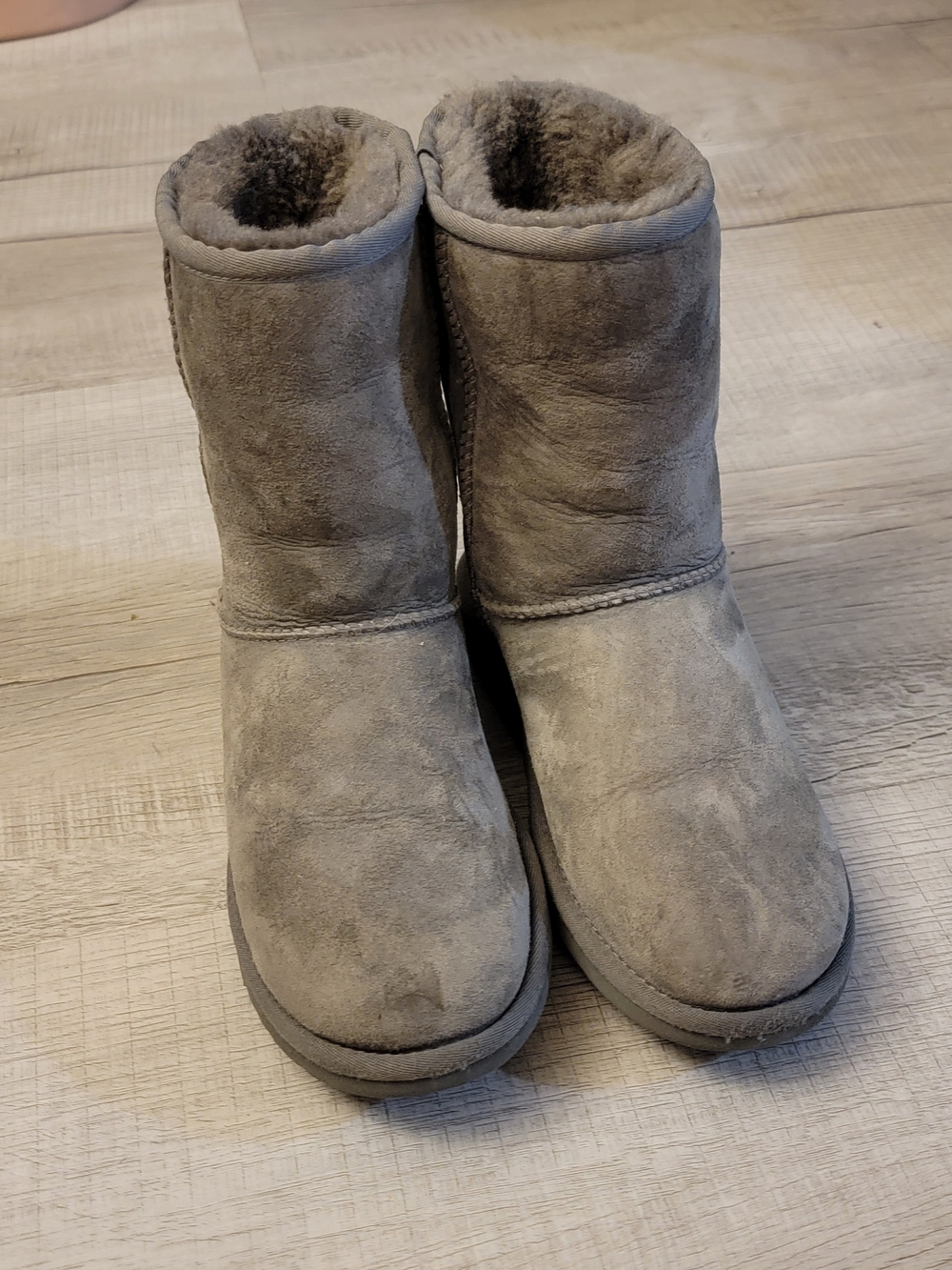 UGG Women's Classic Short Boots in Gray Suede